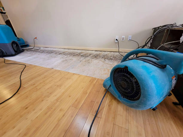 Professional Basement Flood Cleanup technician working in Cumberland, IN